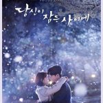 While You Were Sleeping ( K Drama )