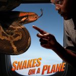 Snakes on a Plane (Hollywood Movie)