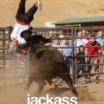 Jackass Forver (Hollywood Movie)