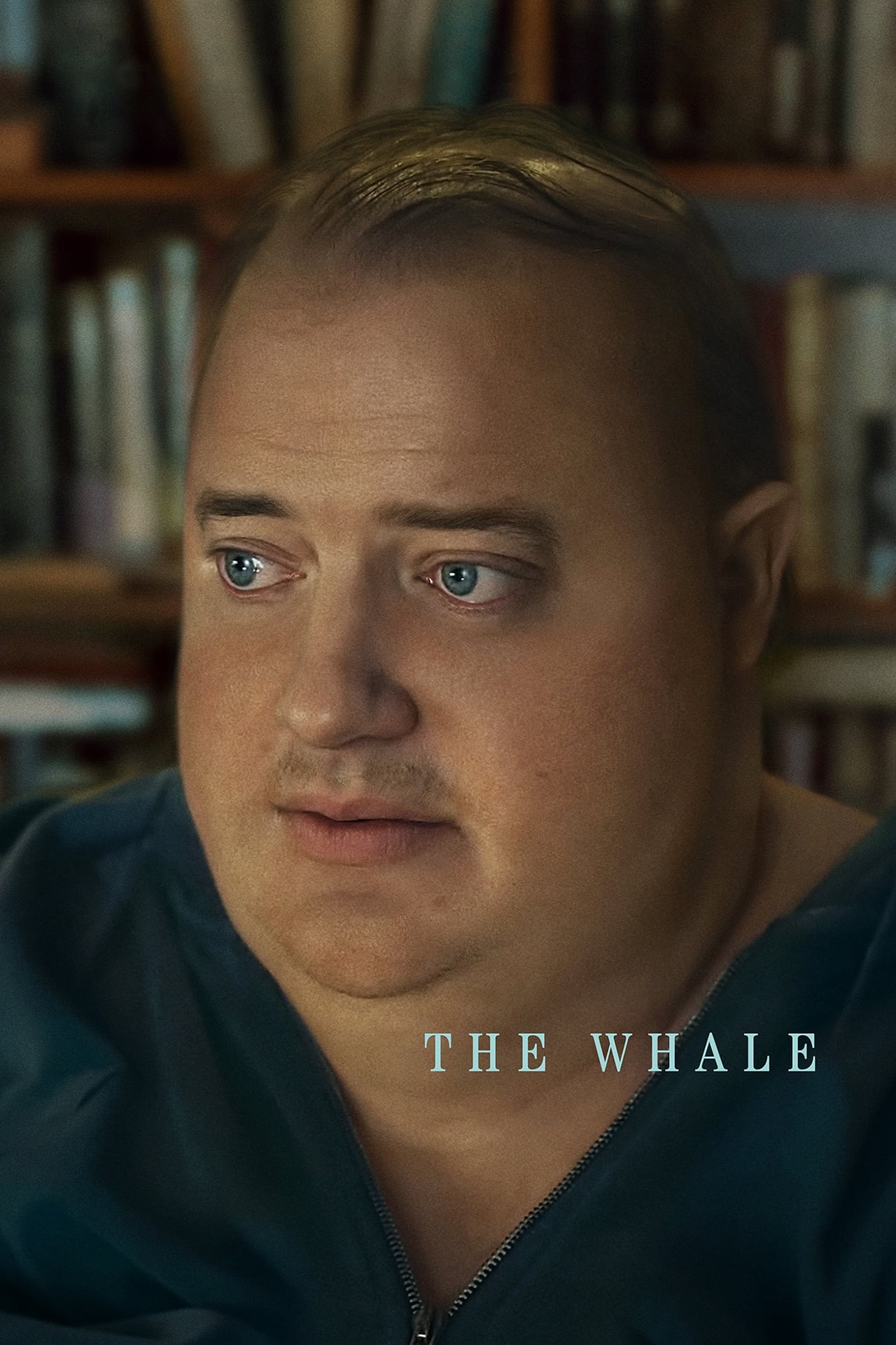 The Whale (2022) | Download Hollywood Movie