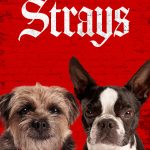 Strays (Hollywood Movie)