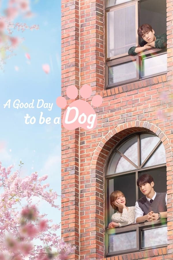 A Good Day to be a Dog S01 (Episode 14 Added) | Korean Drama