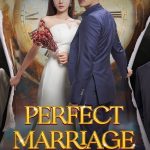 Perfect Marriage Revenge ( Korean Drama )