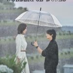 Wonderful World ( K Drama )
