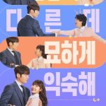 Miss Night and Day ( K Drama )