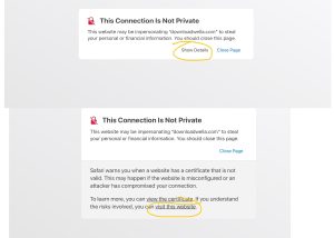 Downloadwella Issue See How to Fix