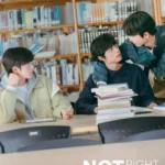 Something Not Right ( K Drama )