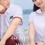 You are the Apple of My Eye (Korean Movie)