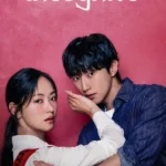 Ms. Incognito ( Korean Drama )